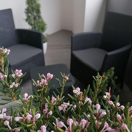 Szczecin Hanza Tower Apartment-Basen Ngoại thất bức ảnh
