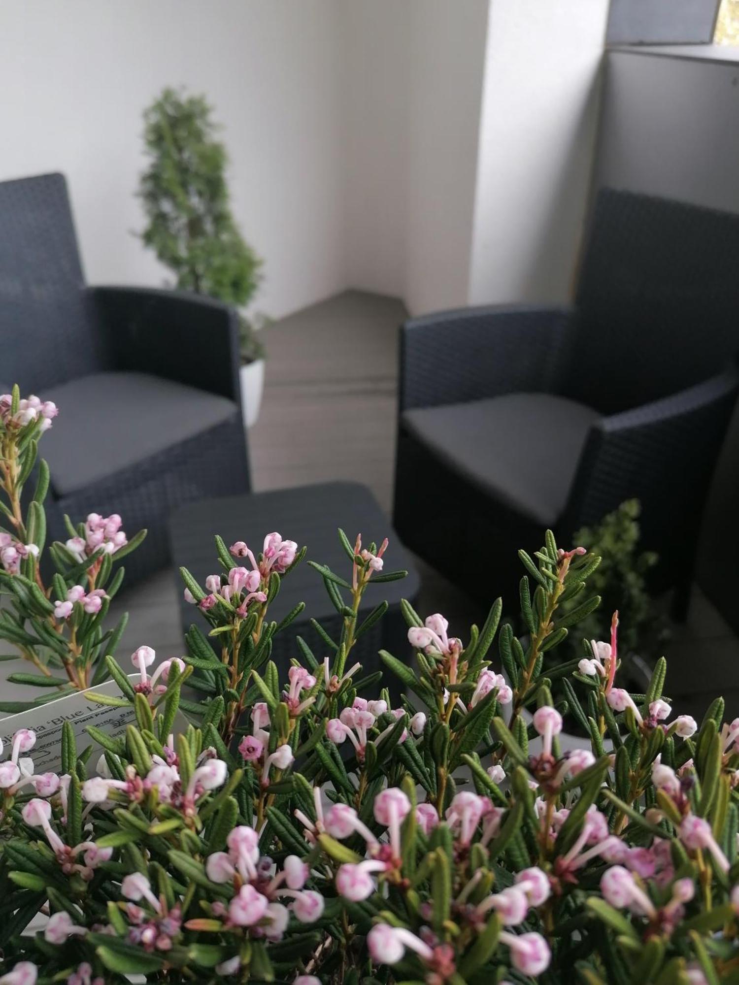 Szczecin Hanza Tower Apartment-Basen Ngoại thất bức ảnh